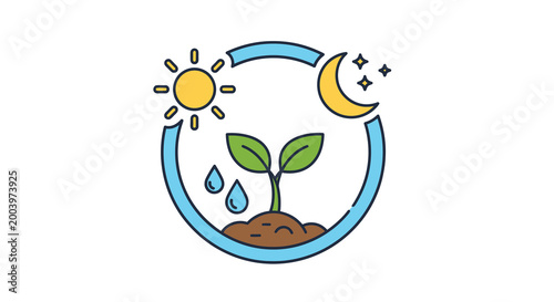 plant growth cycle illustration with sun moon and water drops