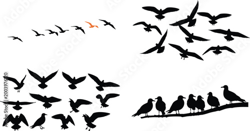 Flying birds silhouettes collection with seagulls flock motion and perched birds isolated on white background nature illustration set