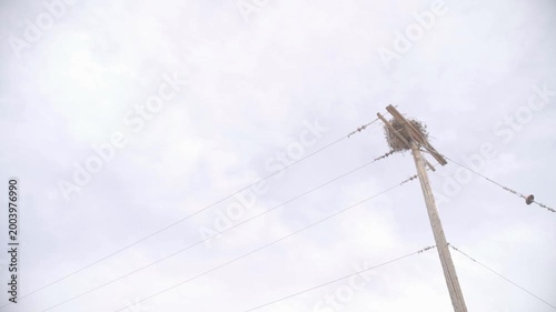 Bird Nest on Utility Pole Against Open Sky