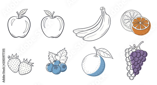 Assortment of Fresh Hand-Drawn Fruits - Apples, Bananas, Citrus, Berries, and Grapes.