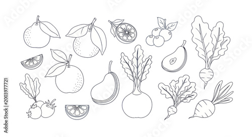 Assortment of hand-drawn fruits and vegetables in outline style.