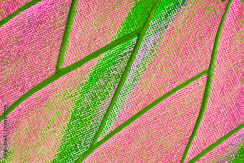 Abstract painted background with pink and green pattern