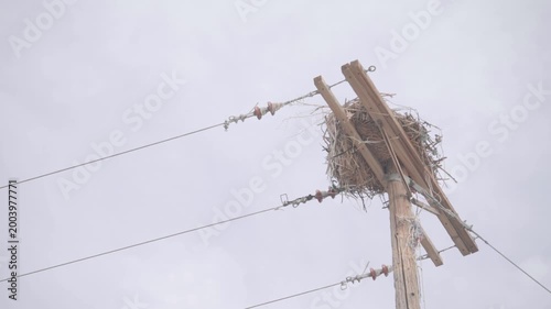Bird Nest on Utility Pole with Power Lines