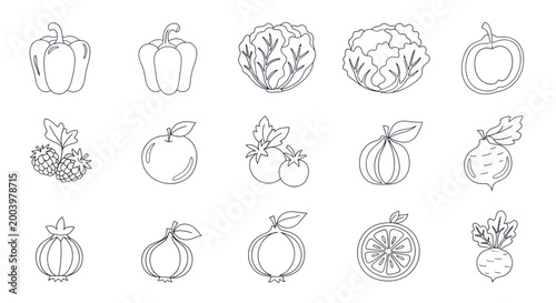 Collection of Fresh Hand-Drawn Vegetable Outlines for Healthy Eating.