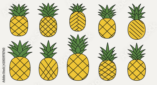Collection of Fresh Ripe Pineapples with Green Leaves.
