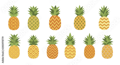 Collection of Fresh Ripe Pineapples with Unique Patterns and Textures.