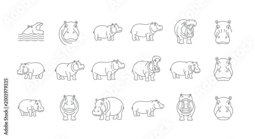 Fotografija Set of line art hippopotamus illustrations for design and commercial projects