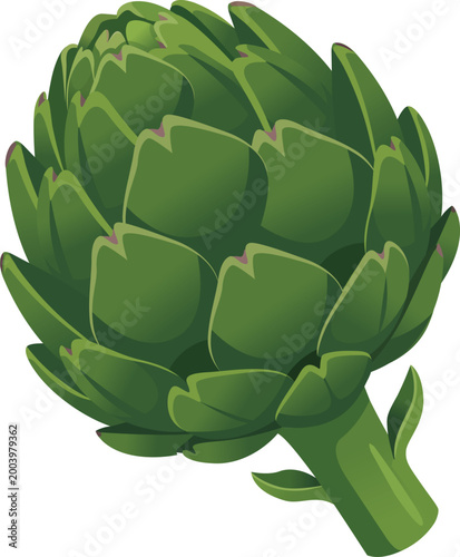Green Artichoke Fresh Vegetable Design 