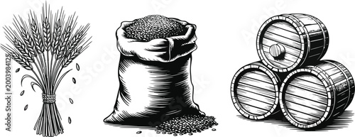 Malt in burlap bag illustration, detailed engraving style vector artwork featuring wheat sheaf and wood barrels for brewing craft beer and traditional farm industry design.