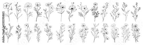 Delicate wildflower collection with various floral branches and leaves, minimal botanical line art set for wedding invitations and logo design