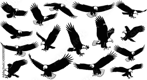 Eagle Silhouette Collection: Majestic Birds in Flight, Diverse Poses