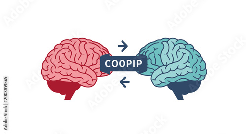 Brainstorming And Collaboration Concept: Two Brains Connecting With Arrows And Text