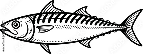 Black and white illustration of a mackerel fish with detailed fins, scales, and skeletal features in side profile