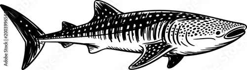 Tiger shark swimming underwater near the ocean surface with distinctive stripes and sharp features