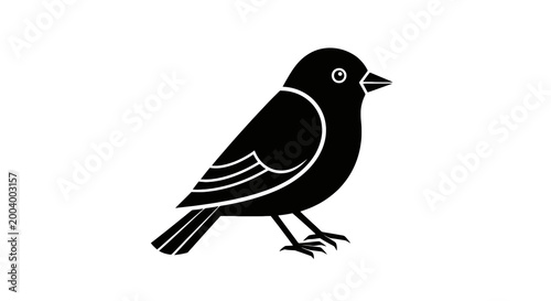 Quadro su tela Black bird standing on ground looking.