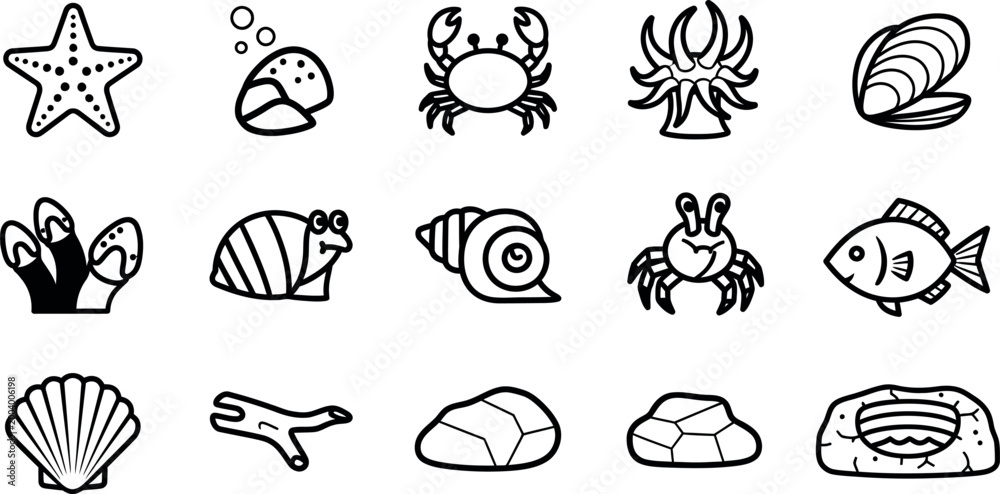 Obraz premium Black and white sea creature including starfish, crabs, shells, and fish sea creatures ocean animals