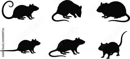 Photos Rat silhouette collection with various poses black rodent shapes isolated minima