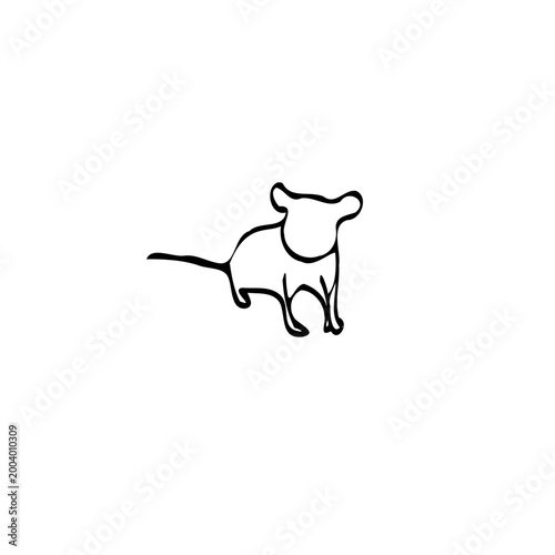 rat