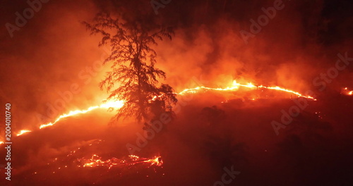 Forest wildfire at night, bright orange flames and heavy smoke consuming trees and landscape, dramatic aerial view highlighting environmental destruction and climate crisis. Aerial drone panorama