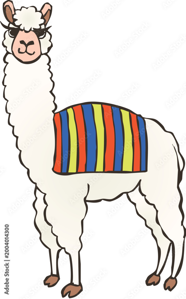 Fototapeta premium hand drawn Alpaca