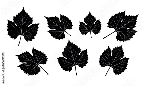 Grape leaf silhouettes a collection of black vine leaves on a white background