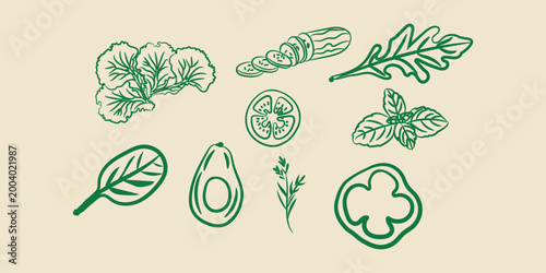 Salad herbs and vegetables doodle line art vector illustration hand drawn organic ingredient collection outline design