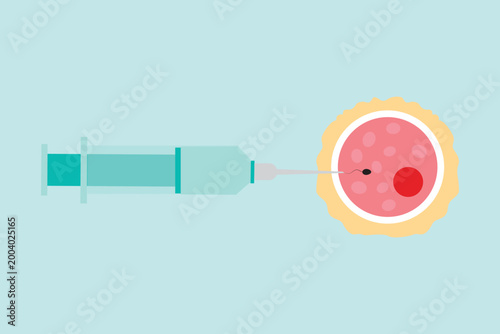Fertilization Process Illustration