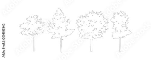 Minimalist tree outline vector set, architectural landscape plant sketches, simple black and white nature line art for site plans and diagrams
