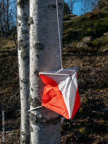 Orienteering control point attached to a tree trunk