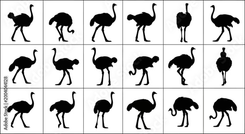 Tableau sur toile Collection of black ostrich silhouettes in various poses on white background sho