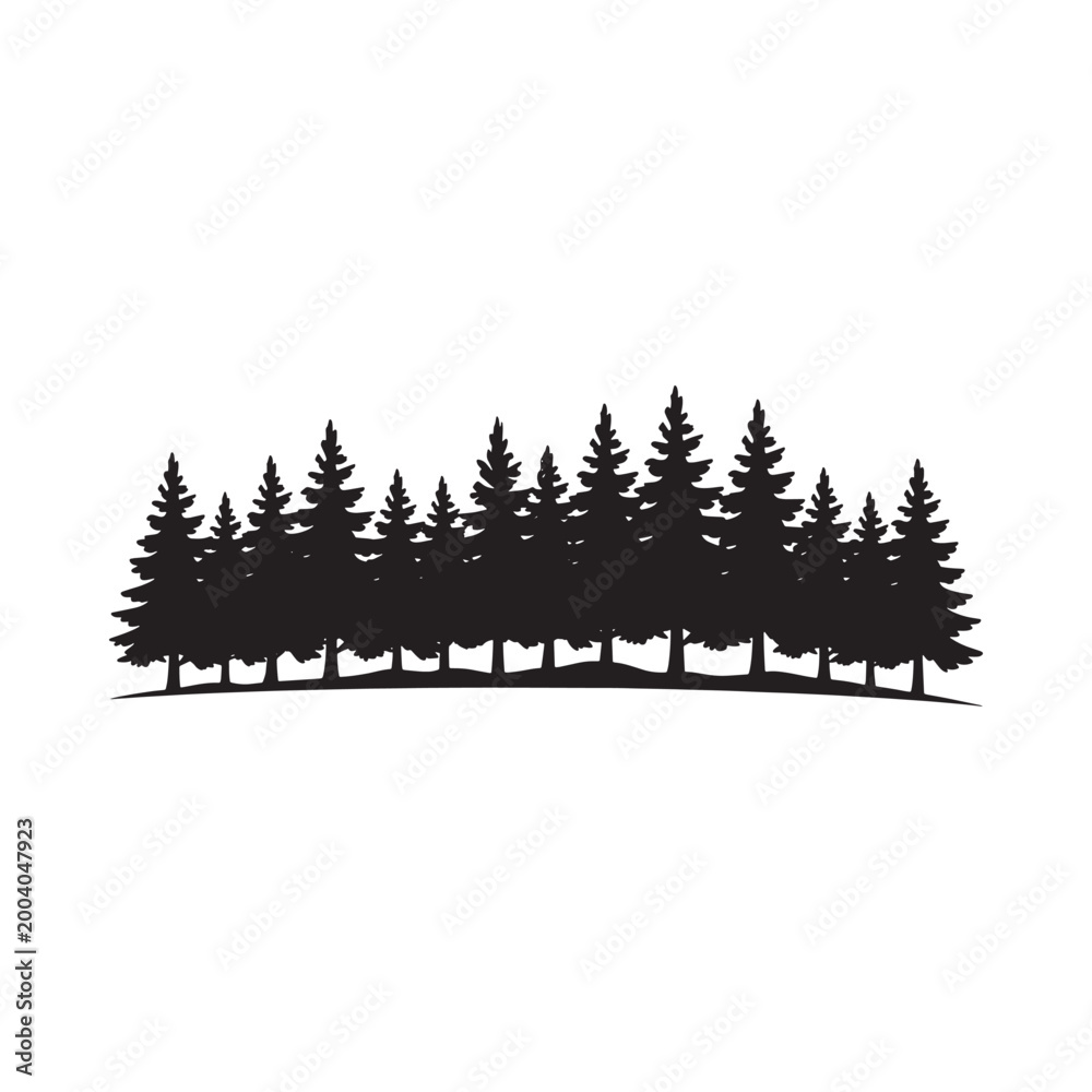Obraz premium Forest silhouette on white background evergreen trees in a row