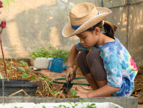 Fotografia Focused Asian little girl gardening in the backyard, using a hand trowel to dig and loosen soil for plants, home-grown vegetable garden concept
