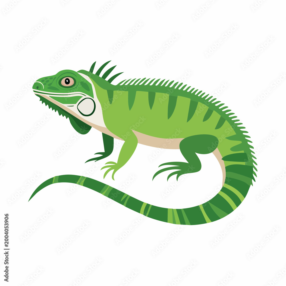 Obraz premium Green Iguana Illustration