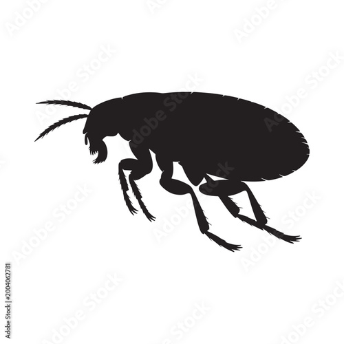 Flea silhouette on a white background insect vector illustration