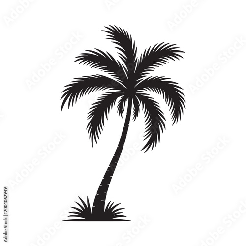 Palm tree silhouette against a white background