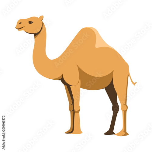 Camel Cartoon Illustration Desert Animal Character, Simple Camel Cartoon Illustration Minimal Desert Animal