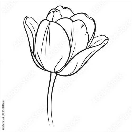 black tulip bloom silhouette design for modern floral commercial use