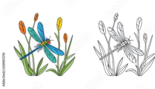 Colorful Dragonfly and Floral Illustration Alongside Black and White Line Art for Coloring Book Page