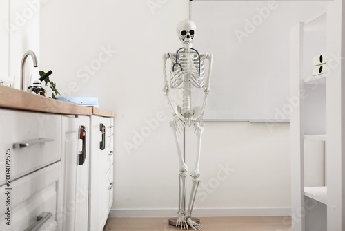 Human skeleton model near w...