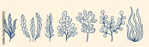 Seaweed hand drawn blue ink set. Underwater plants bunch in Mediterranean style. Elements of the underwater world of the sea or ocean, vector graphics