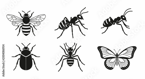 Collection of various insect silhouettes including bee ants beetle spider and butterfly.