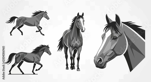 Majestic Horses in Dynamic Poses Capturing Equine Grace and Power.