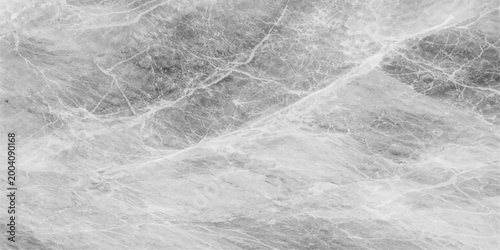 Monochrome marble texture, stone surface with delicate crack pattern, showcasing organic variation in mineral vein in its purest form.