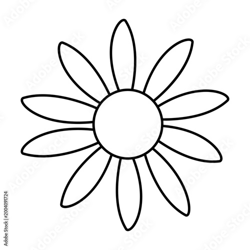 Daisy flowers icon vector. Daisy Illustration sign. Chamomile symbol. flowers logo.
