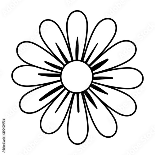 Daisy flowers icon vector. Daisy Illustration sign. Chamomile symbol. flowers logo.