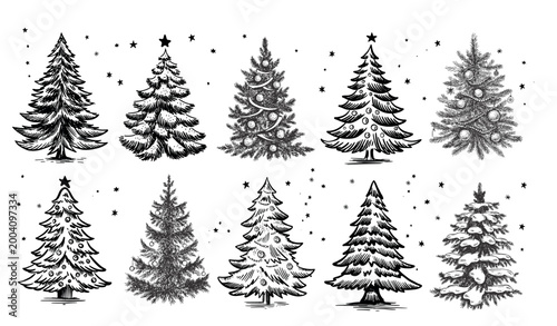 Christmas tree set on white. Hand drawn illustration.