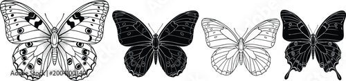 Butterfly silhouettes set detailed wings insects collection black and white moth and butterfly vector illustration isolated