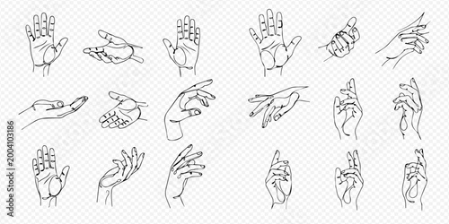Tablou pe pânză Continuous line drawing of various hand gestures and positions, minimalist art style, set of human hands