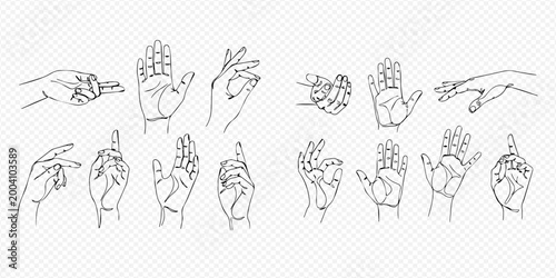 Set of hand gestures in line art style, showing various human palm and finger positions, isolated on a transparent background.