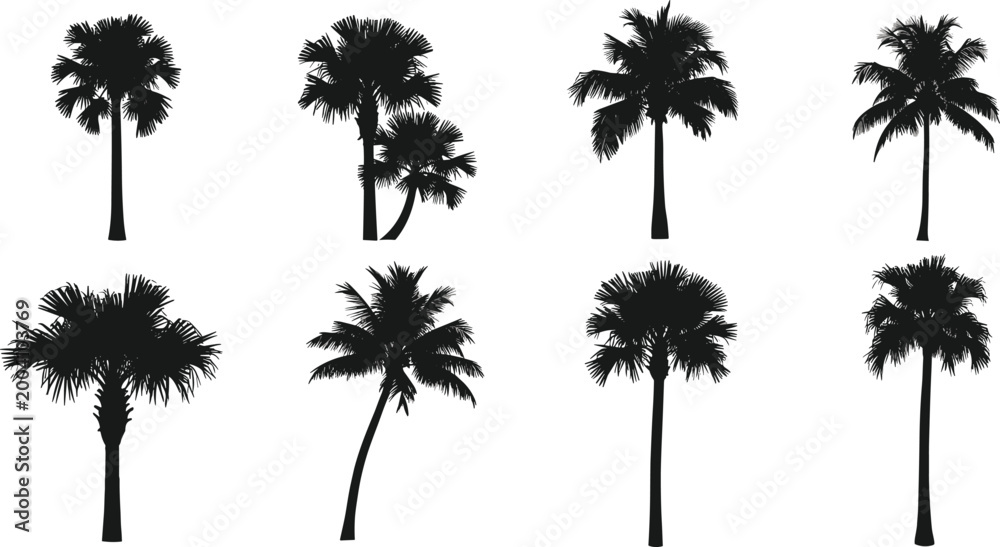 Fototapeta premium Collection of silhouettes of palm trees representing tropical vegetation and exotic natural environments on transparent background.